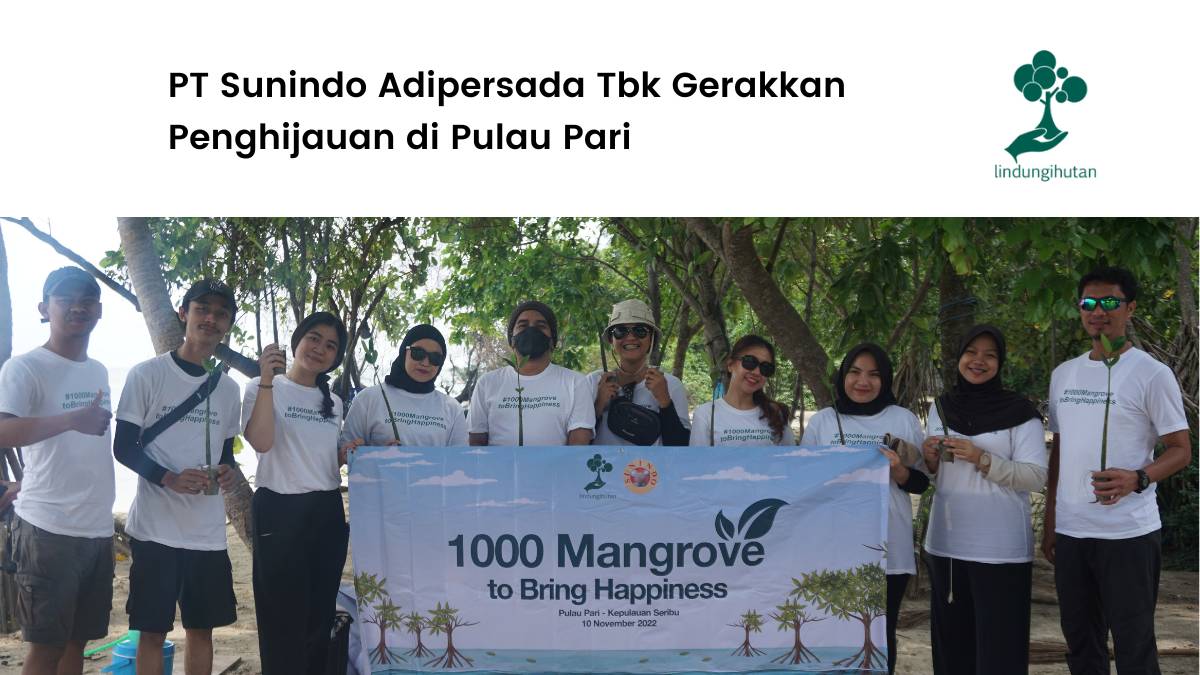 PT Sunindo Adipersada Tbk Tanam 1.000 Mangrove di Kepulauan Seribu
