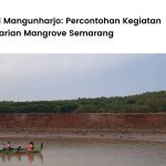 Lokasi penanaman LindungiHutan di Pantai Mangunharjo