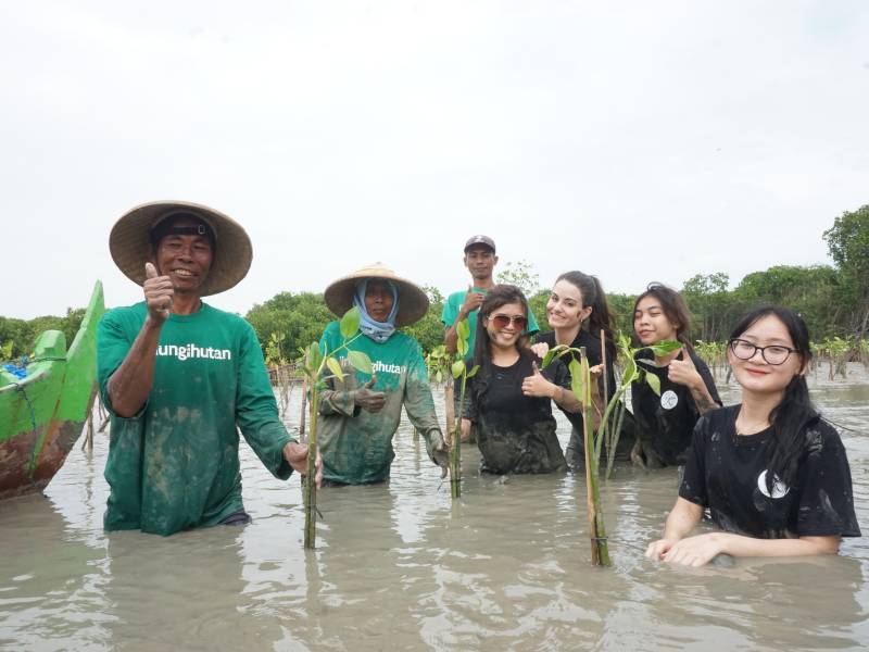 Penanaman mangrove lediane dan mitra petani
