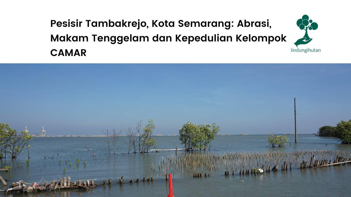 Pesisisir Tambakrejo Semarang