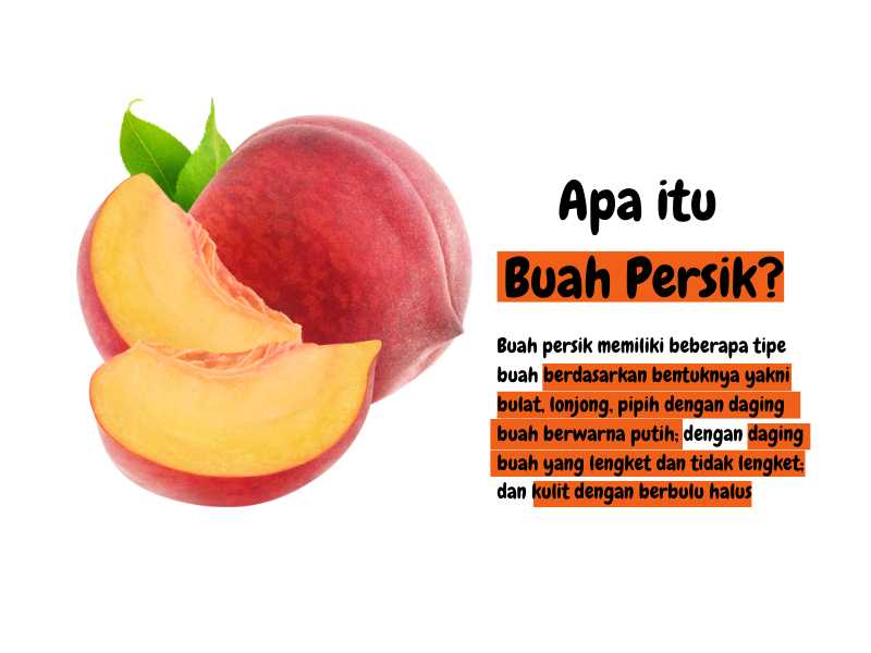 Gambar buah persik