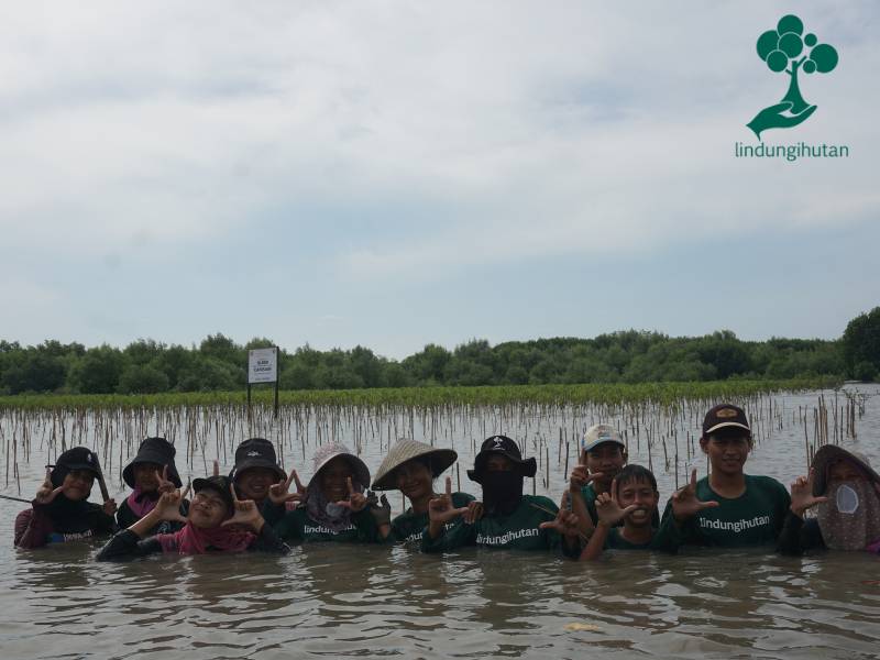 Indorelawan tanam ratusan mangrove di Pantai Bahagia