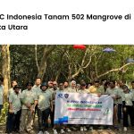 KUFPEC Indonesia Tanam 502 Mangrove di Jakarta Utara
