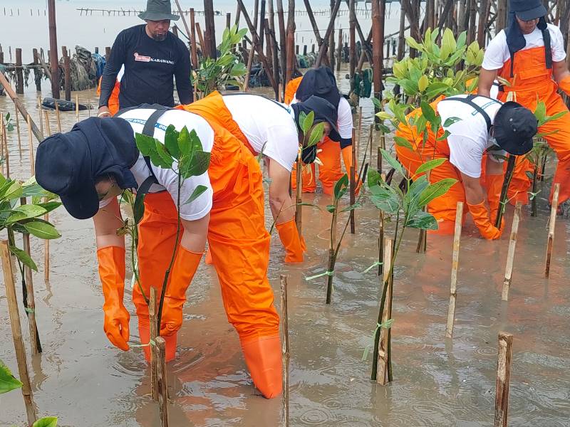 Kegiatan penanaman mangrove Michelin Indonesia di Karawang