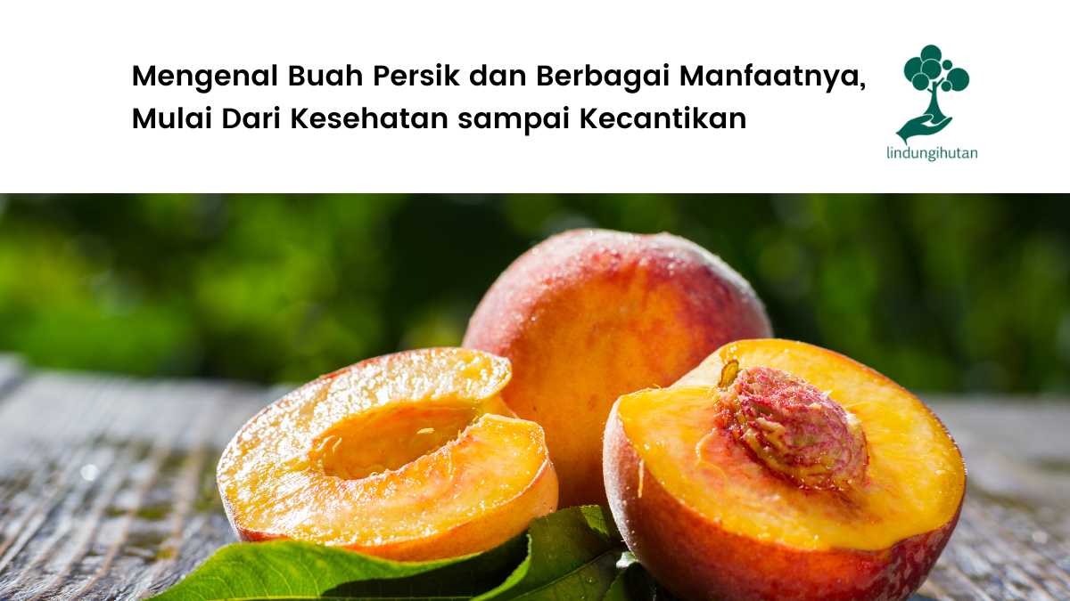 Manfaat buah persik