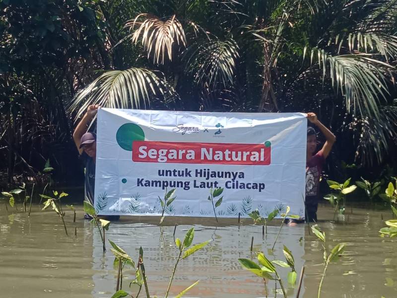 Penanaman mangrove oleh merek skincare sagara naturals