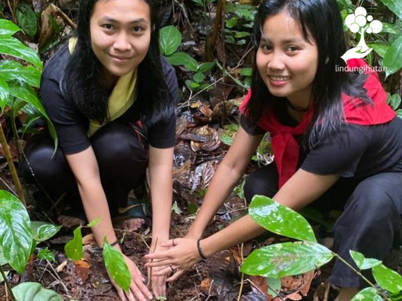 Tri Cycle tanam pohon trembesi di Kalimantan Barat