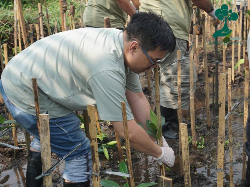 Tim KUFPEC Indonesia tanam mangrove di PIK