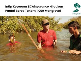 BCAinsurance menanam mangrove
