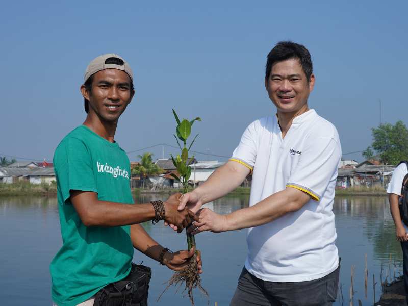 CSR Penanaman mangrove