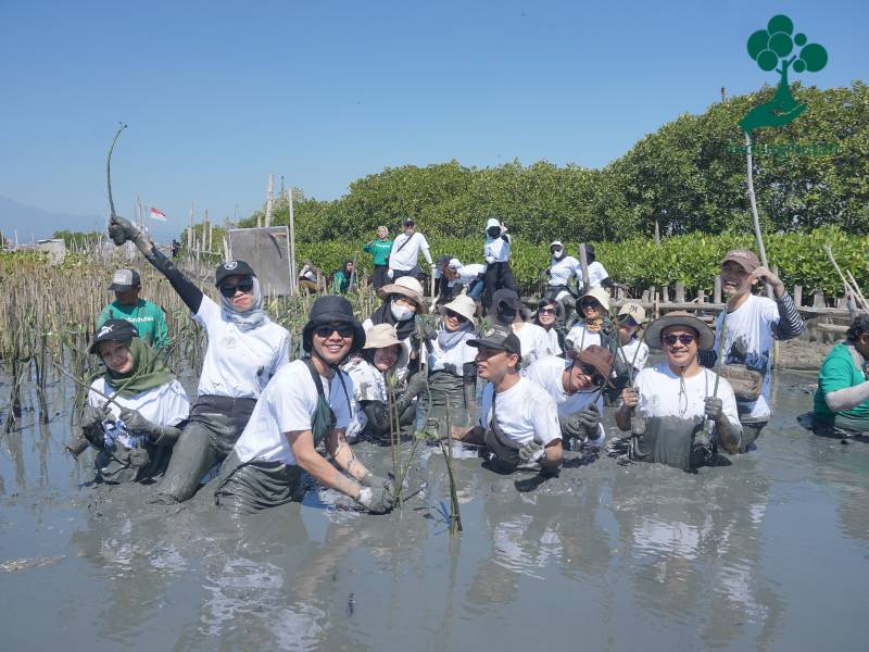 Karyawan PT Nesia Pan Pacific Knit tanam mangrove