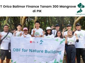 Kegiatan penghijauan PT Orico Balimor Finance