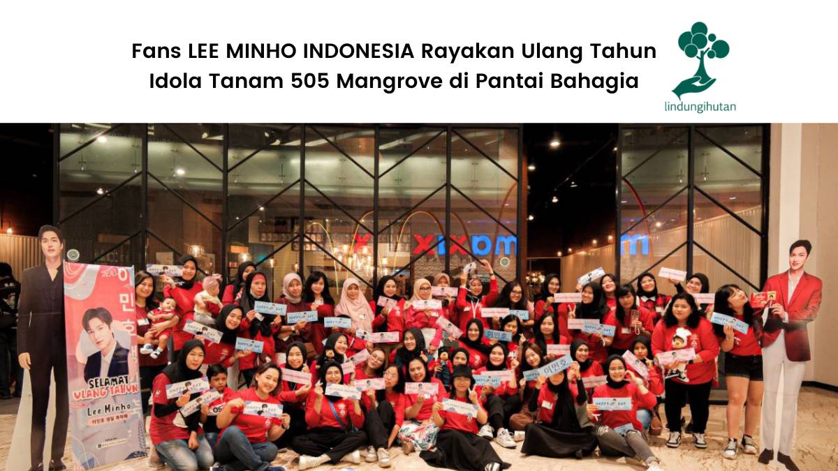 LEE MINHO INDONESIA Menanam Mangrove