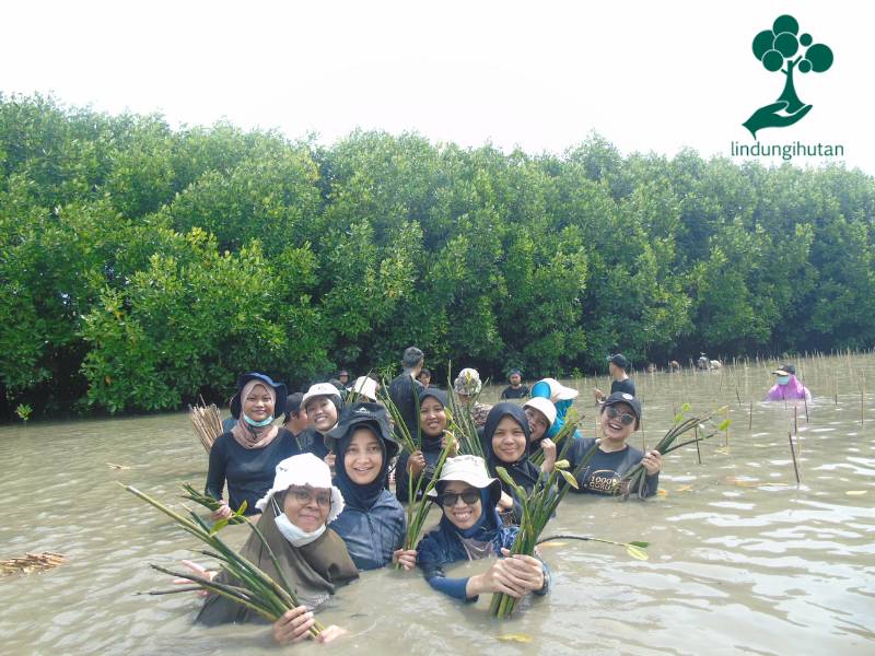 Lyfe With Less tanam mangrove di Bekasi