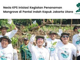 Nexia KPS Inisiasi Kegiatan Penanaman Mangrove di Pantai Indah Kapuk Jakarta Utara