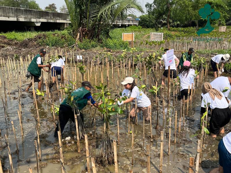 PT Orico Balimor Finance menanam mangrove