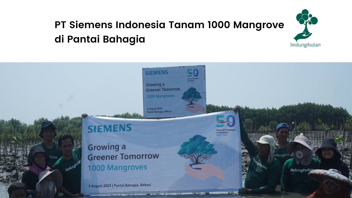 PT Siemens Indonesia Tanam 1000 Mangrove di Pantai Bahagia
