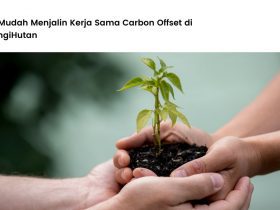 kerja sama carbon offset
