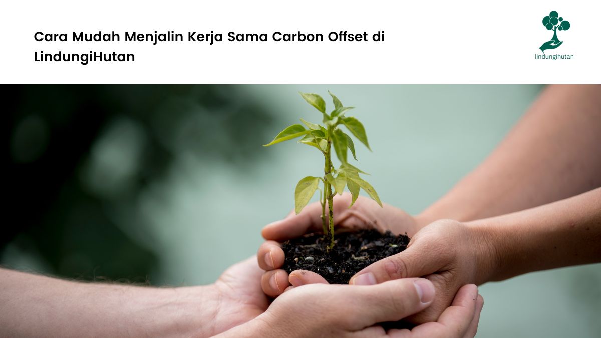 kerja sama carbon offset