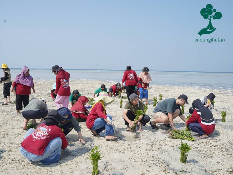 Bank Indonesia menanam mangrove bersama