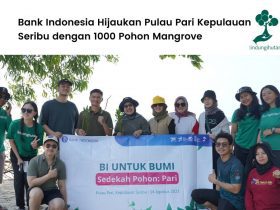 Bank Indonesia menanam ribuan mangrove