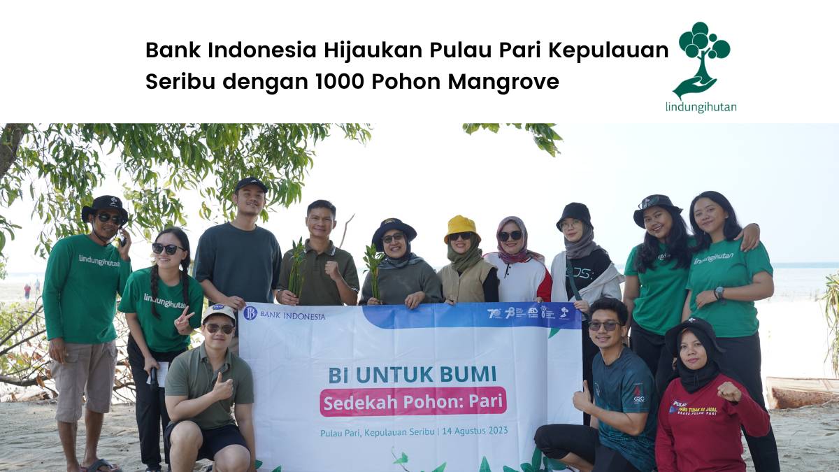 Bank Indonesia menanam ribuan mangrove