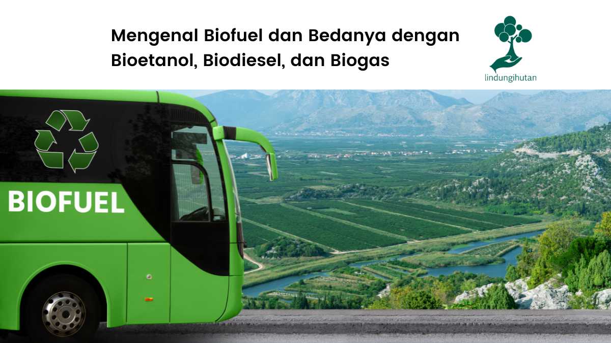 Biofuel adalah