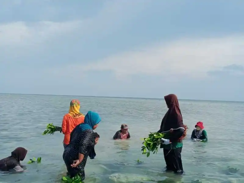 Penanaman-mangrove-Michelin-di-Pulau-Pari