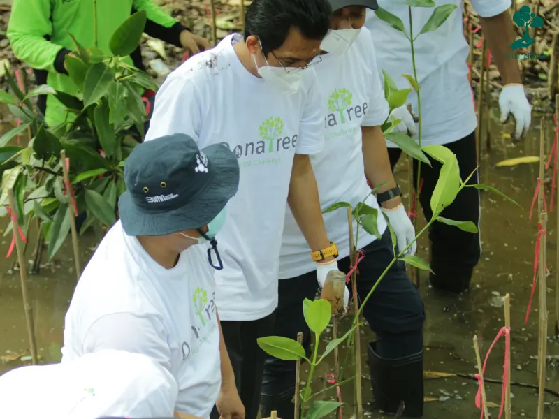 penanaman pohon mangrove oleh PT Pupuk Indonesia Persero