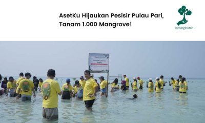 AsetKu menanam mangrove di Pulau Pari