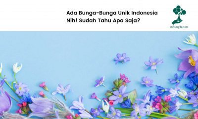 Bunga unik di Indonesia