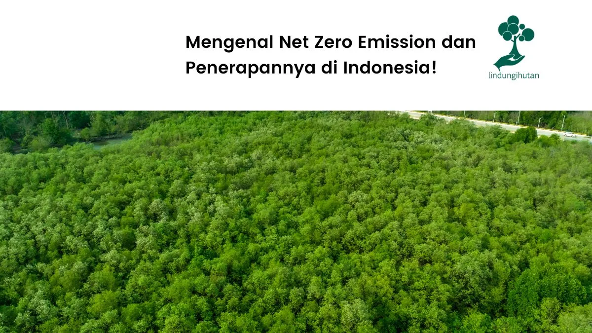 Net Zero Emission adalah