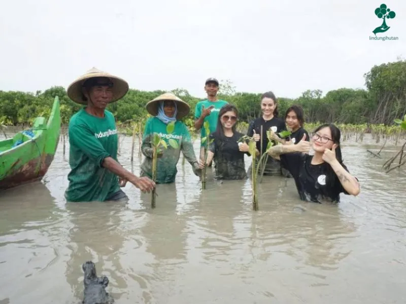 Penanaman mangrove PT Sinar Lediane Indonesia