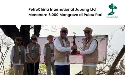 PetroChina International Jabung Ltd