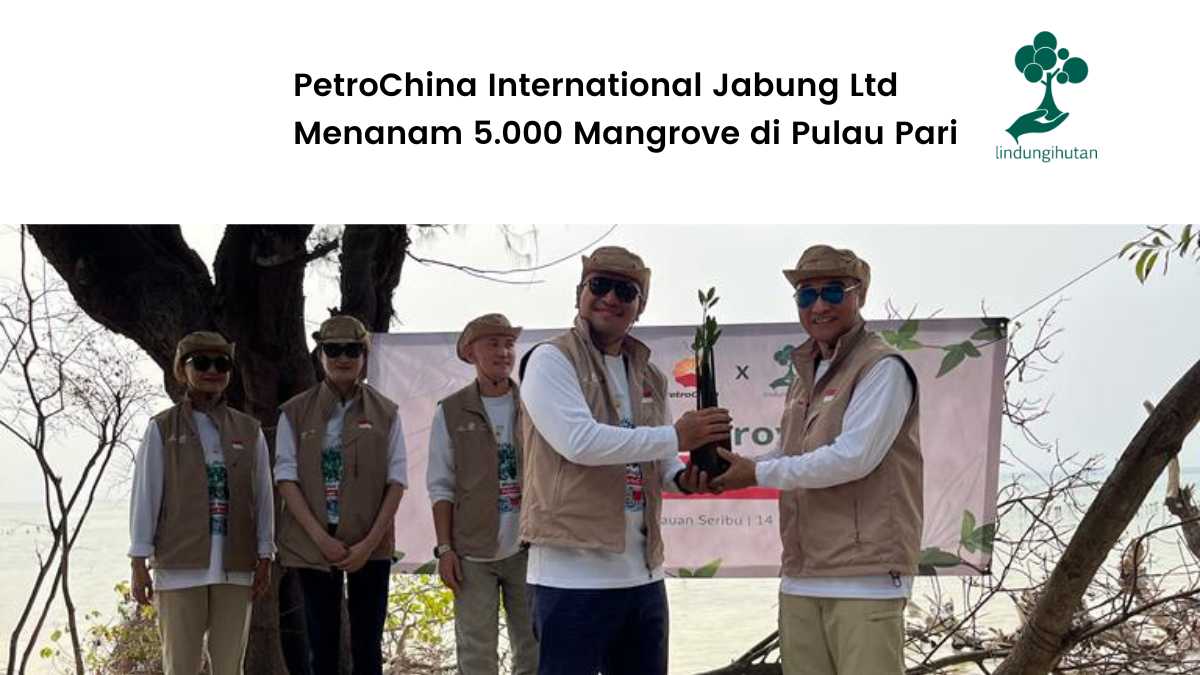 PetroChina International Jabung Ltd