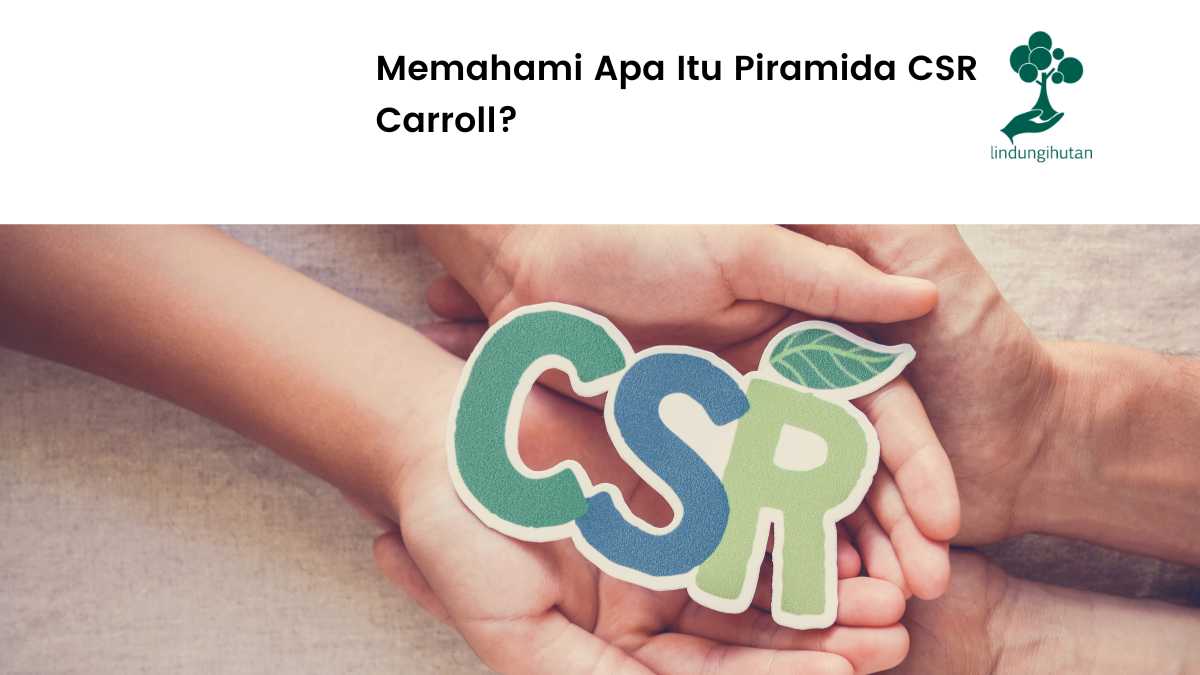 Piramida CSR Carroll
