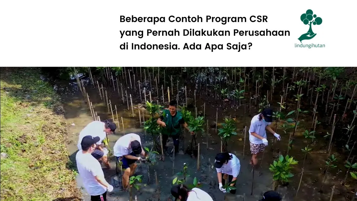 Program CSR perusahaan di Indonesia