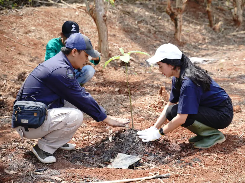 tim DCI Indonesia menanam pohon alpukat