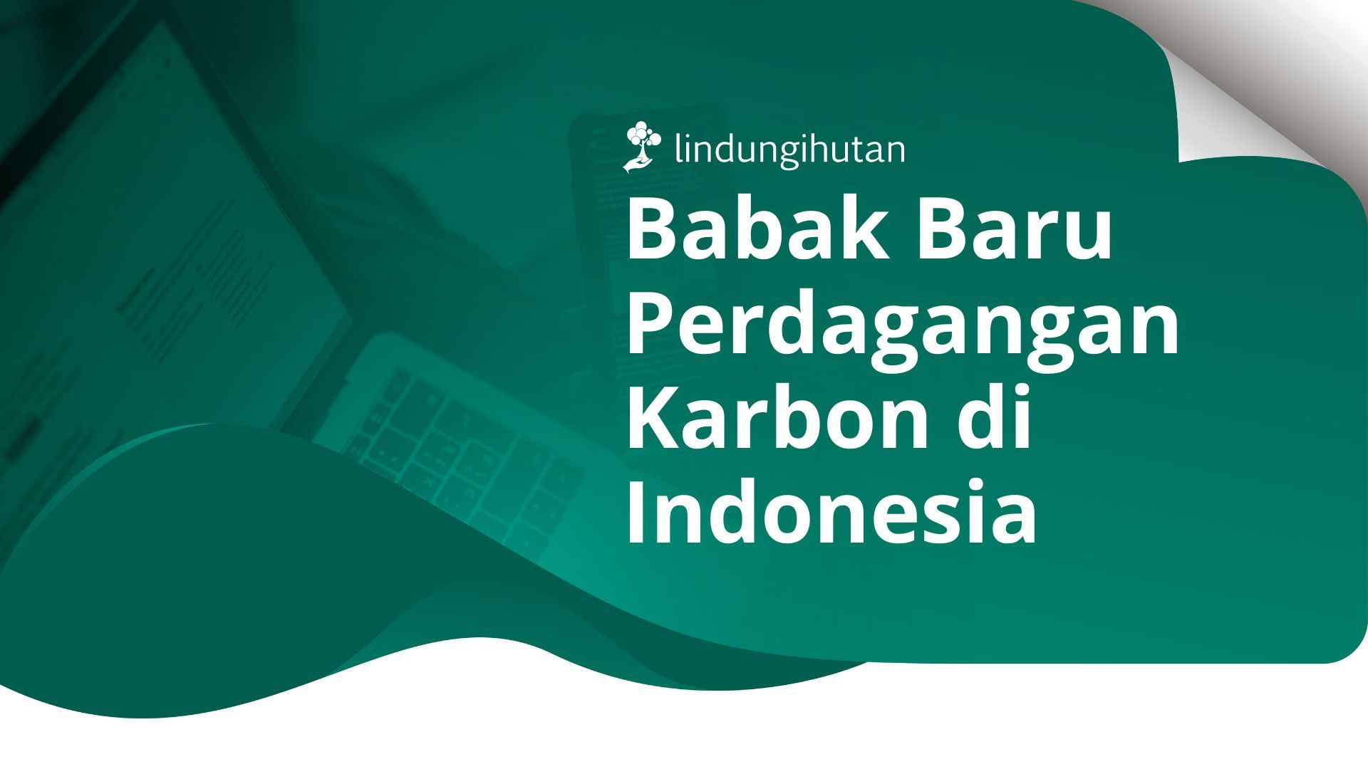 Perdagangan karbon di Indonesia