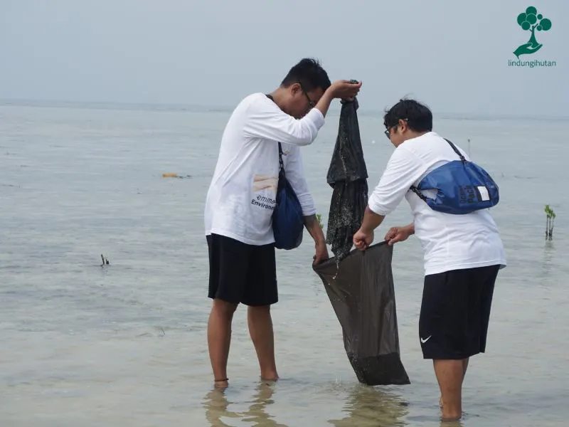 Program treeshbash bersih pantai dan penanaman mangrove