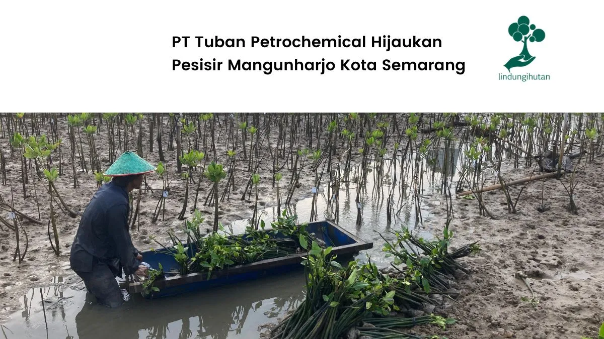 PT-Tuban-Petrochemical