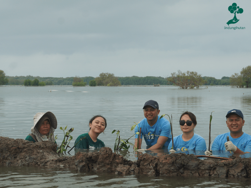 Penanaman mangrove AXA Insurance bersama LindungiHutan