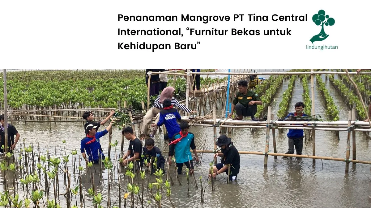 Penanaman mangrove PT Tina Central International