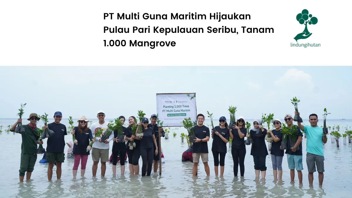 Penanaman mangrove PT Mult Guna Maritim Pulau Pari Kepulauan Seribu