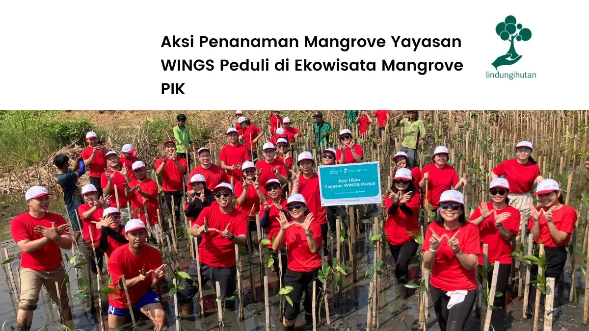 Yayasan Wings Peduli Ekowisata Mangrove PIK