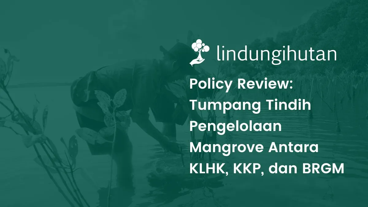 Policy review pengelolaan ekosistem mangrove