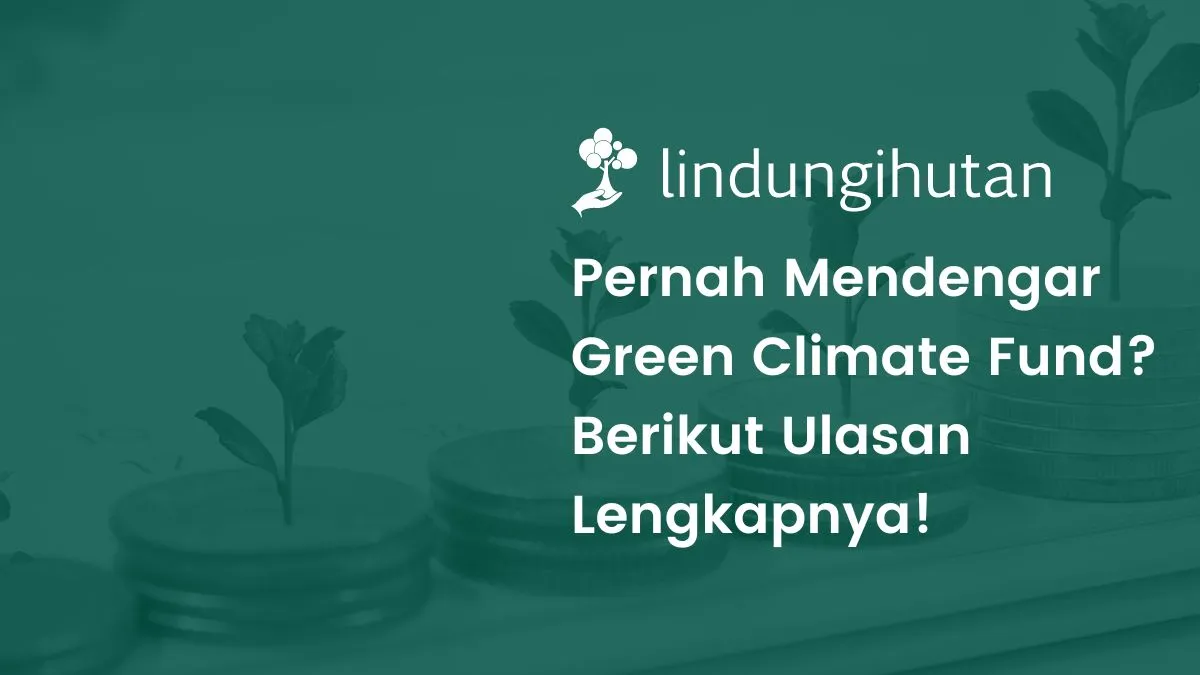 Apa itu green climate fund?