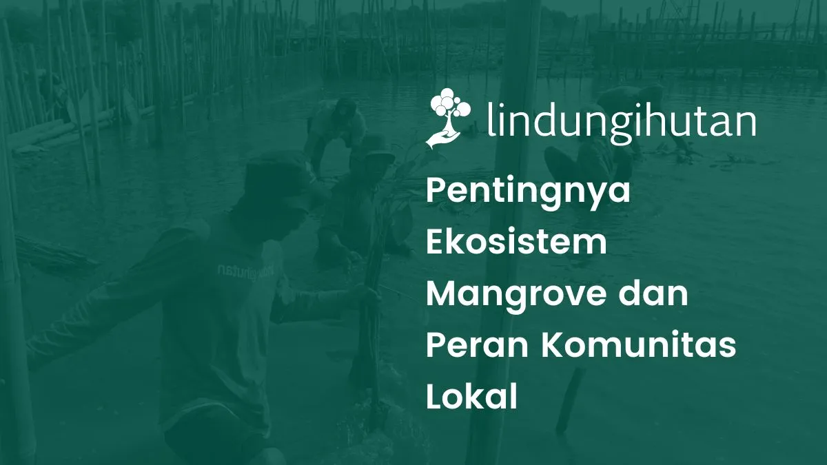 Edukasi ekosistem mangrove bagi komunitas lokal