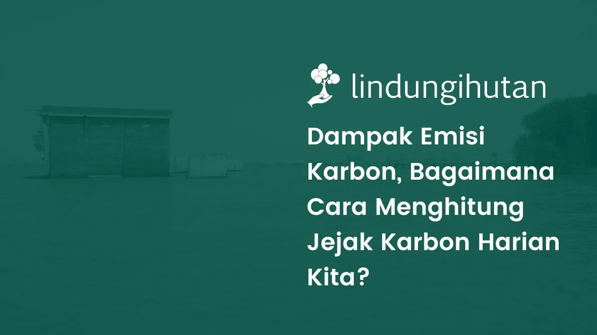 Emisi karbon adalah