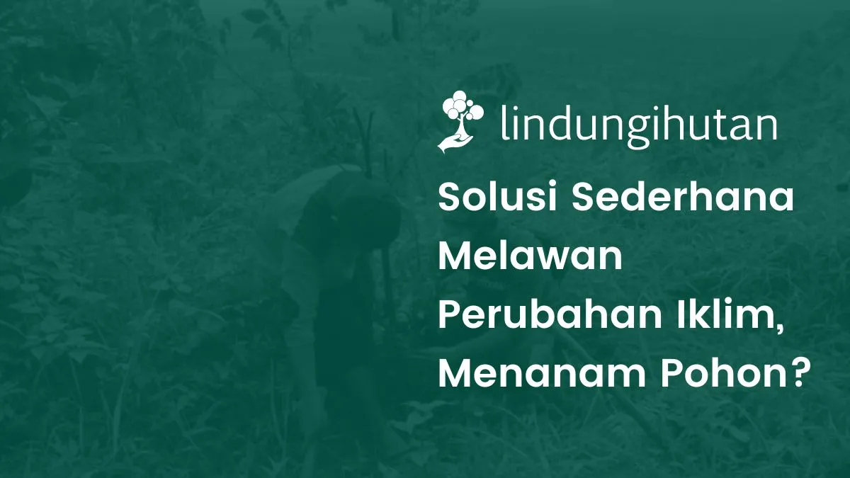 Menanam pohon untuk melawan perubahan iklim